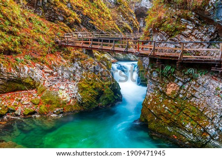 Famous and beloved Vintgar Gorge canyon with wooden path in beautiful autumn colors near Bled Lake of Triglav National Park in Slovenia