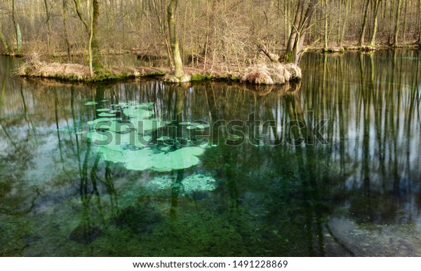 Famous Blue Springs Niebieskie Zrodla Tomaszow Stock Photo Edit Now 1491228869