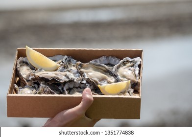 Famous Bluff Oysters From New Zealand