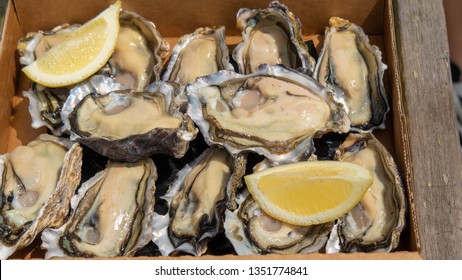 Famous Bluff Oysters From New Zealand