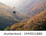 Famous cable car and autumn foliage scenery in Miryang, South Korea.
