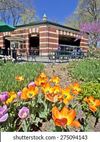 Famous Carousel In Central Park NYC