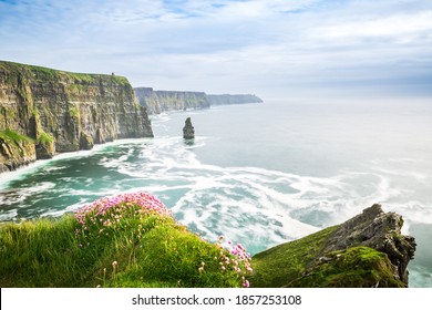 Famous Cliffs of Moher sea view in Ireland. Beautiful coast at the Ocean with Flowers in the front. Clear Atlantic water and Rocks in the Background.