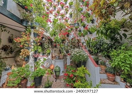 Famous courtyard of Cordoba, Spain, with flowering plants