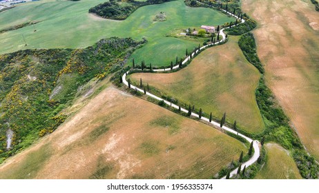 Famous cypress hill of Monticchiello, Tuscany. Aerial view from drone in spring season.