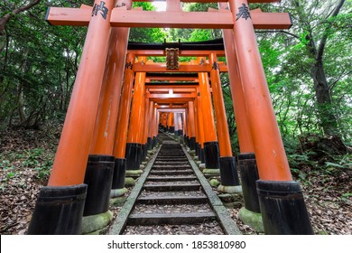 Senbon Torii High Res Stock Images Shutterstock