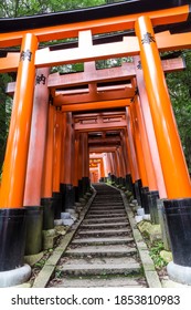 Famous Fushimi Inari Shinto Shrine With No People, Orange Torii Gates Line Hiking Paths In A Wooded Forest On Mount Inari, Summer, Kyoto, Japan 07.06.15