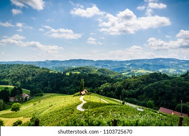 Famous Heart shaped wine road in Austria / Slovenia in summer, Heart form - Herzerl Strasse, vineyards in summer, Spicnik tourist spot