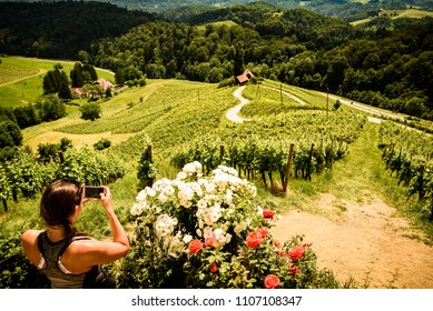 Famous Heart shaped wine road in Slovenia in summer, woman with a mobile phone photographing heart. Heart form - Herzerl Strasse, vineyards in summer, Spicnik