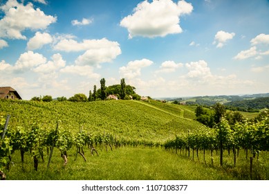 Famous Heart shaped wine road in Slovenia in summer, Herzerl Strasse, vineyards in summer, Spicnik tourist spot