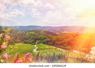 Famous Heart shaped wine road in Slovenia - Austria in summer, Heart form - Herzerl Strasse, vineyards in summer, Spicnik tourist spot