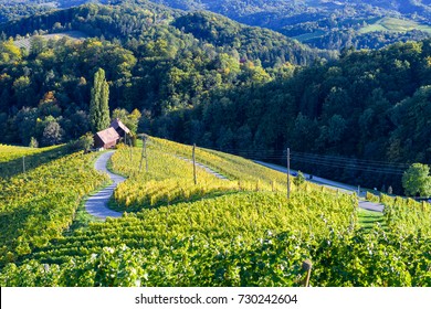 Famous Heart shaped wine road in Slovenia in autumn, Heart form - Herzerl Strasse, vineyards in autumn, Spicnik