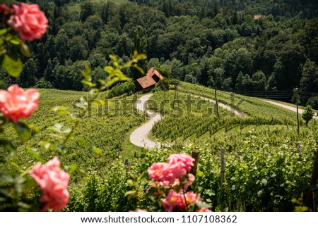 Famous Heart shaped wine road in Slovenia in summer, Heart form - Herzerl Strasse, vineyards in summer, Spicnik