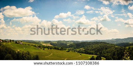 Famous Heart shaped wine road in Slovenia in summer, Herzerl Strasse, vineyards in summer, Spicnik tourist spot