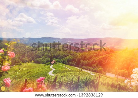 Famous Heart shaped wine road in Slovenia - Austria in summer, Heart form - Herzerl Strasse, vineyards in summer, Spicnik tourist spot
