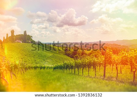 Famous Heart shaped wine road in Slovenia - Austria in summer, Heart form - Herzerl Strasse, vineyards in summer, Spicnik tourist spot