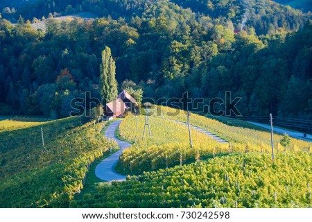 Famous Heart shaped wine road in Slovenia in autumn, Heart form - Herzerl Strasse, vineyards in autumn, Spicnik