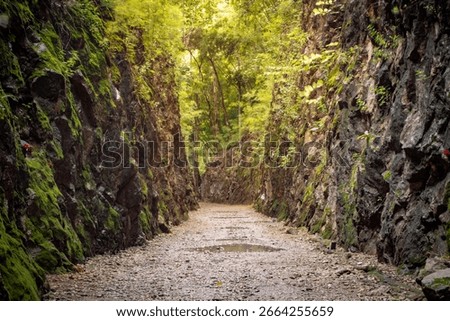 The famous Hellfire Pass built by prisoners of war in Kanchanaburi, Thailand