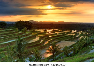 Berühmte Terrassen von Jatiluwiw Rice auf Bali während des Sonnenaufgangs, Indonesien