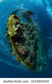 The Famous Liberty Ship Wreck. Underwater Life Of Tulamben, Bali, Indonesia.