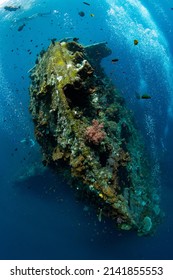 The Famous Liberty Ship Wreck. Underwater Life Of Tulamben, Bali, Indonesia.