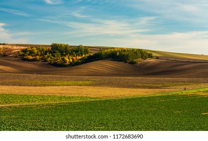 Famous Moravian Fields In Czech Republic. Nature And Travel Landscape. Czech Tuscany. Nature Autumn Background.