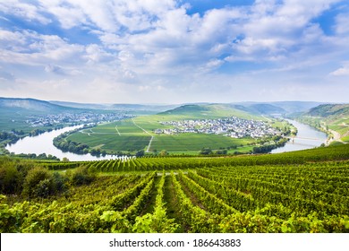 Famous Moselle Sinuosity In Trittenheim, Germany