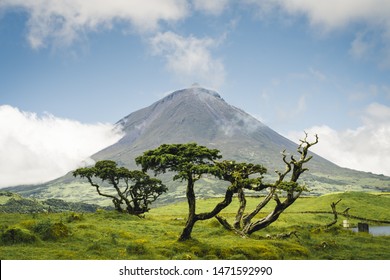 The Famous Mount Pico, A Volcano, On Pico Island, Azores, Portugal. Against Blue Sky On A Summer Day