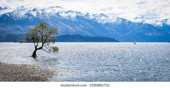 Famous New Zealand landmark Wanaka tree in the lake - Powered by Shutterstock