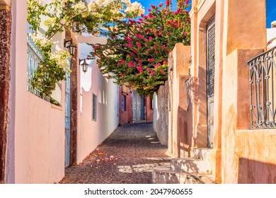Famous Oia village narrow street with white houses and bougainvillea flowers. Santorini island, Greece.