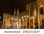 Famous Palais des Papes illuminated at night in Avignon, Vaucluse, Provence, France