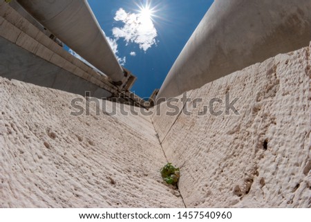 Similar – Weeds Growing in a Blocked Suburban House Rain Gutter