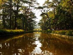 The Famous Pond At Wright Park In Baguio City, Philippines Reflects The Pine Trees During An Early Morning. 