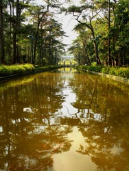 The Famous Pond At Wright Park In Baguio City, Philippines Reflects The Pine Trees During An Early Morning. 