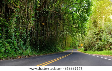 Famous Road to Hana fraught with narrow one-lane bridges, hairpin turns and incredible island views, curvy coastal road with views of cliffs, beaches,waterfalls, and miles of rainforest. Maui, Hawaii 