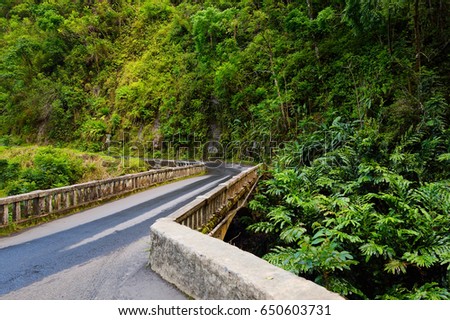 Famous Road to Hana fraught with narrow one-lane bridges, hairpin turns and incredible island views, curvy coastal road with views of cliffs, beaches, waterfalls, and miles of rainforest. Maui, Hawaii