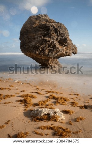 cathedral cove Natur