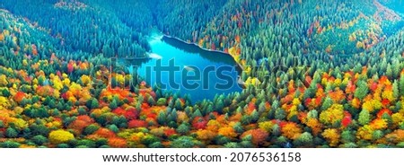 The famous Synevyr lake, a tourist attraction, in the Carpathians, Ukraine, autumn beech and coniferous forest, beautiful mountain landscape. Aerial view drone copter