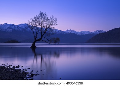 2,101 New Zealand Top Attractions Images, Stock Photos & Vectors ...