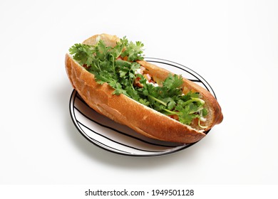Famous Vietnamese food "Banh mi" isolated on white background. Popular street food of baguette stuffed with chicken meat, pork, ham, pate, egg and fresh cilantro leaves.