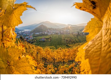  Famous Vineyards In Wachau, Spitz, Austria