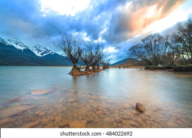 The Famous Willow Trees of Glenorchy, New Zealand