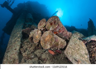 Famous WW2 Ship Wreck In Northern Red Sea 