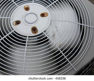 a fan during the summer