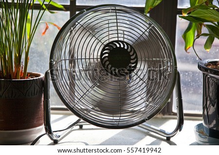 Fan in motion between potted plants providing a cool breeze