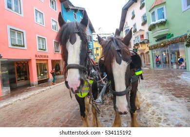 Fancy Christmas Horse Carriage For Skiing Tourists. Austria, Kitsbuhel, February 2012