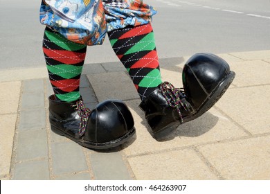 Fancy Dress And Shoes For The Party