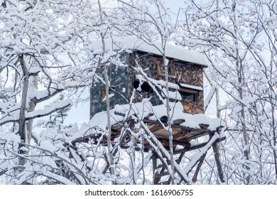 Fancy Hunting Tree Stand In An Aspen Forest In Winter After A Heavy Snowfall 