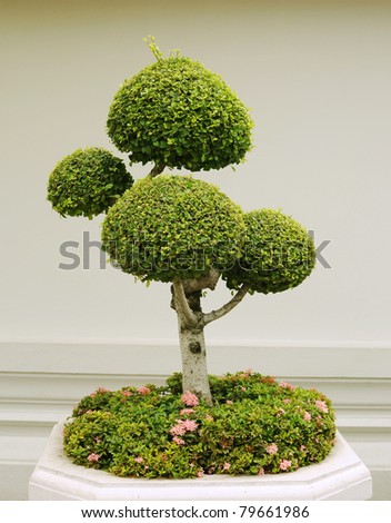 fancy shaped decorative tree