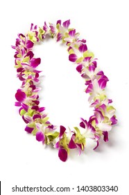 Fancy single strand Hawaii fresh orchid flowers lei necklace mix color blue and green from Thailand isolate on white background.